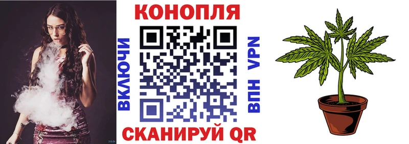 Продажа наркотиков Мышкин АМФ Меф мяу мяу Бошки Шишки