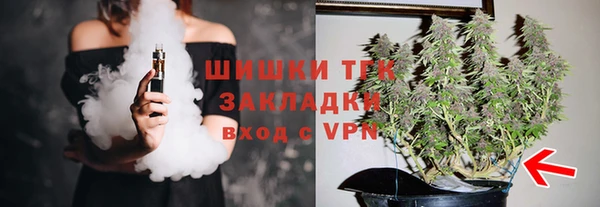 гашик Арсеньев