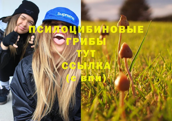 a pvp Армянск