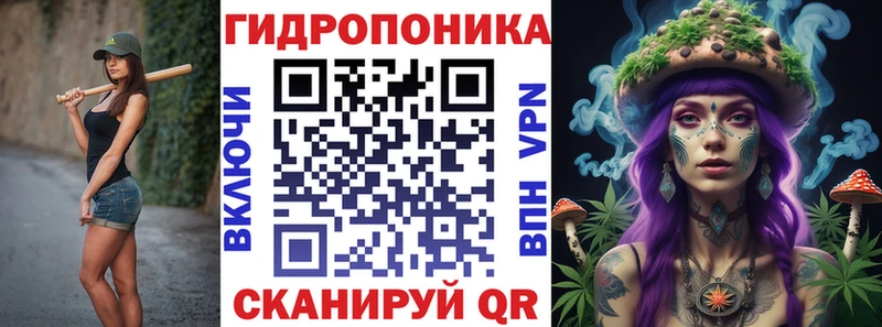 Бошки Шишки Amnesia  Мышкин 